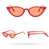 Women Man Vintage Cat Eye Irregular Shape Sunglasses Eyewear Retro Unisex