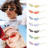 Women Man Fashion Vintage Irregular Shape Sunglasses Eyewear Retro Unisex